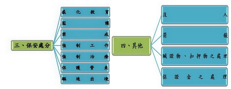 保安處分其他